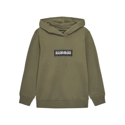 Zdjęcie Napapijri Bluza B-Chamois NP0A4HY4 M Zielony Regular Fit