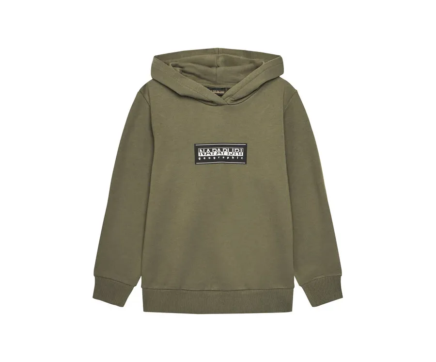 obrazek 1 Napapijri Bluza B-Chamois NP0A4HY4 M Zielony Regular Fit