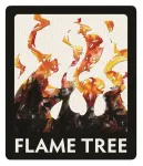 logo Flame Tree Publishing