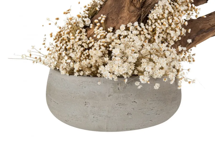 obrazek 4 Oryginalna dekoracja - stabilizowane drzewko Bonsai z naturalnej gliksji