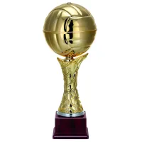 Zdjęcie Nadzwyczajny puchar jako wyróżnienie dla najlepszego siatkarza