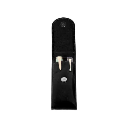 Picture Magnetically closed case for 2 pens