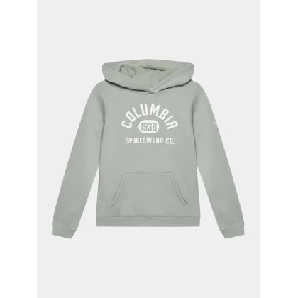 Zdjęcie Columbia Bluza Trek™ Hoodie Szary Regular Fit