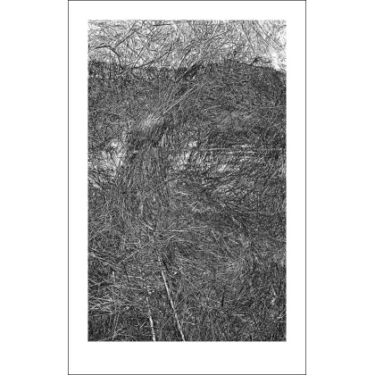 Zdjęcie Donikąd grafika 71,2 x 111,8 cm