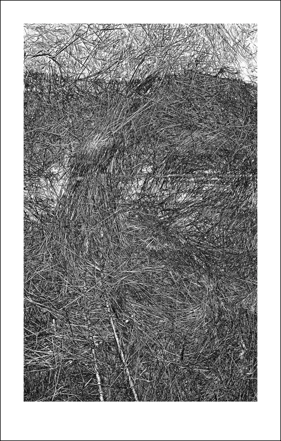 obrazek 1 Donikąd grafika 71,2 x 111,8 cm