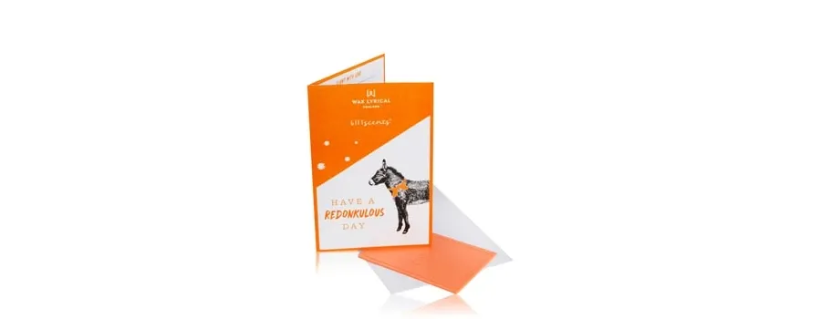 obrazek 1 Wax Lyrical Gift Scents Have A Redonkulous Day Cards Zapach do pomieszczeń 12.3 g