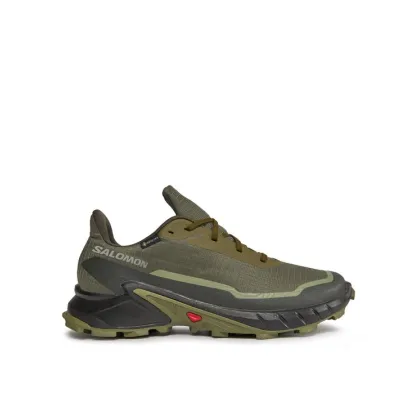 Zdjęcie Salomon Buty do biegania Alphacross 5 Gtx GORE-TEX 473103 29 W0 Zielony
