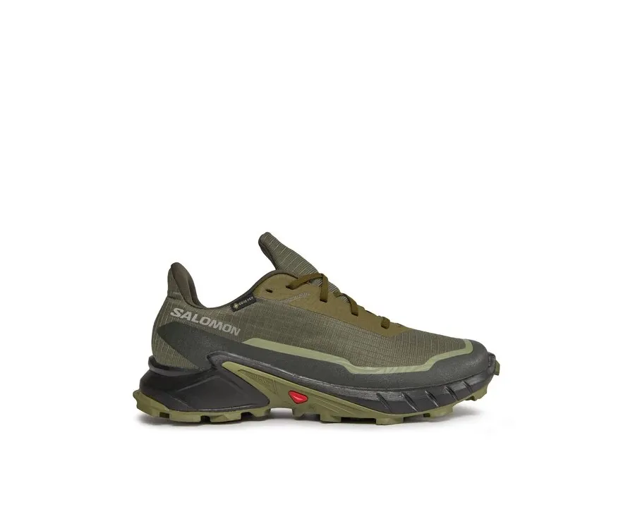 obrazek 1 Salomon Buty do biegania Alphacross 5 Gtx GORE-TEX 473103 29 W0 Zielony