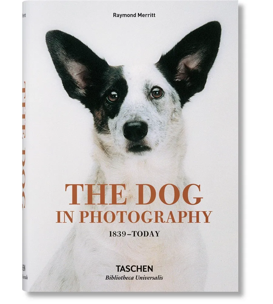 obrazek 1 Książka The Dog in Photography 1839–Today - Taschen