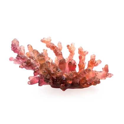 Zdjęcie Stylowa średnia patera inspirowana koralowcami - Daum