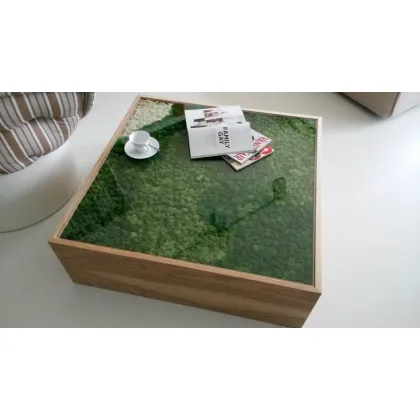 Zdjęcie Stolik z mchem stabilizowanym – model Flat
