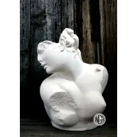 Zdjęcie Piękne gipsowe popiersie Afrodyta w Łaźni