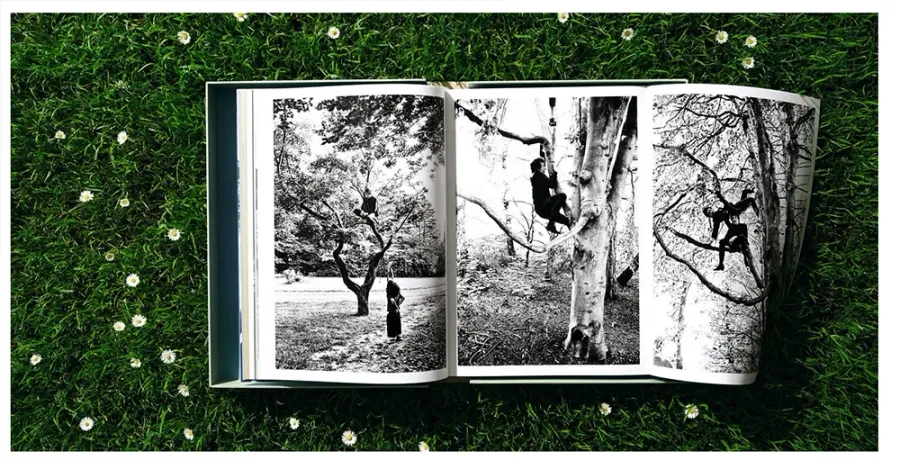 obrazek 8 Książka Rok i dzień Daniel Kramer. Bob Dylan: A Year and a Day - Taschen