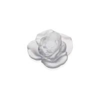 Picture White decorative rose Rose Passion – Daum brand