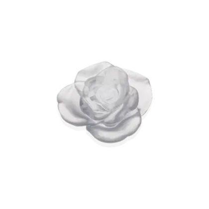 Zdjęcie Biała dekoracyjna róża Różana Pasja – marka Daum