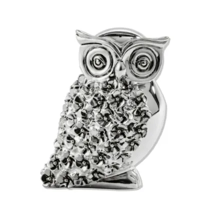 Picture Stylish silver amulet in the shape of an owl