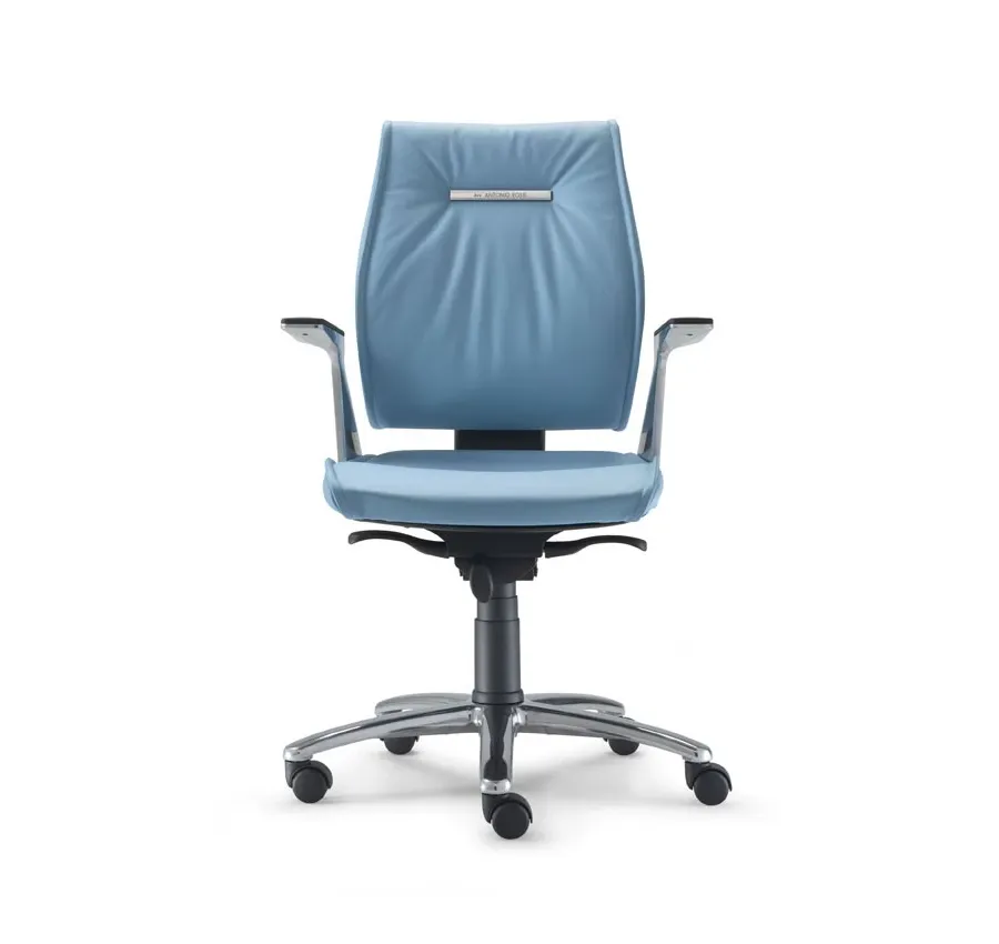 picture 1 Stylish Sedna office chair with a low backrest