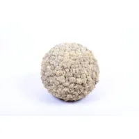 Picture Decoration – ball of stabilized moss (chrobotka)