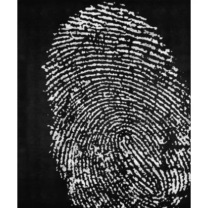 Zdjęcie Stylowy dywan Fingerprint w 6 wariantach kolorystycznych