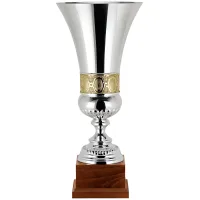 Picture A wonderful silver cup as an award for an athlete
