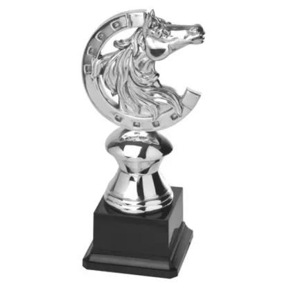Zdjęcie Trofeum na zawody konne