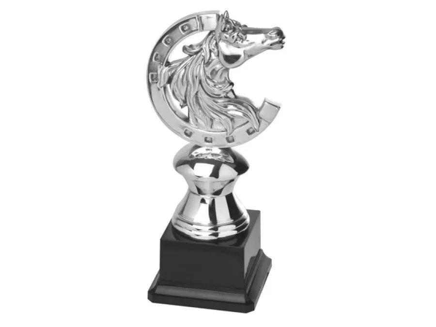 obrazek 1 Trofeum na zawody konne