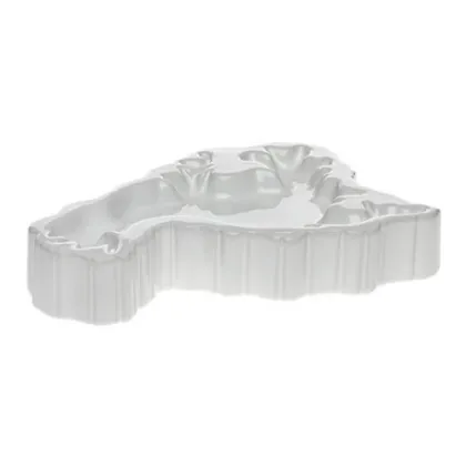 Picture An avant-garde bowl in the shape of the North American continent - Byfly