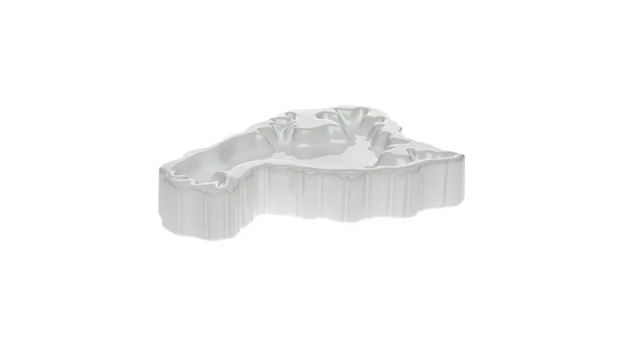 picture 1 Avant-garde bowl in the shape of the continent of North America - Byfly