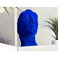 Zdjęcie Wielka maska do wnętrz - designerska rzeźba