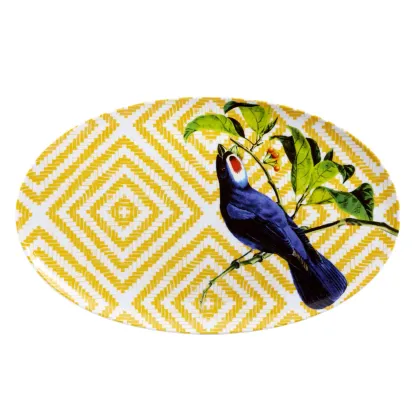 Zdjęcie Porcelanowy owalny talerz Olhar o Brasil z geometrycznym wzorem i przedstawieniem siedzącego ptaka - Vista Alegre