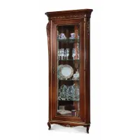 Picture An antique horn display case for a unique interior