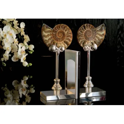 Picture A stylish pair of ammonite bookends with a nickel-plated base