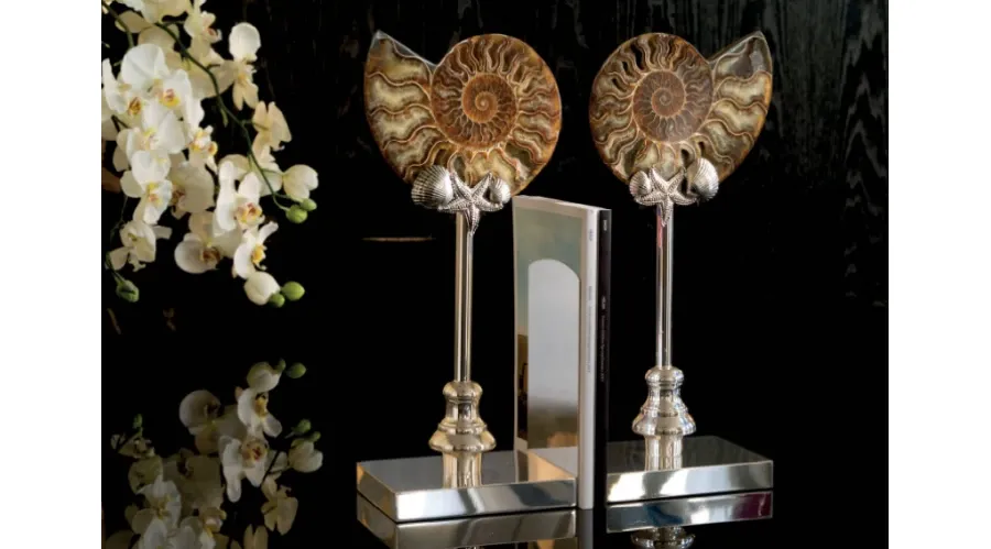 picture 1 A stylish pair of ammonite bookends with a nickel-plated base