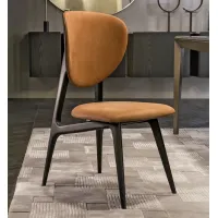 Picture An interesting chair for apartments in a minimalist style