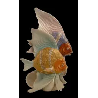 Zdjęcie Para niesamowitych porcelanowych ryb