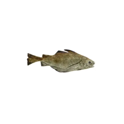 Picture Ceramic products - decorated fish - Bordallo Pinheiro
