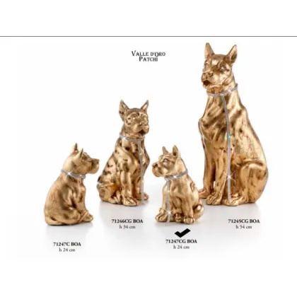 Picture Great Dane sitting with a leash - Valle d'oro Patchi