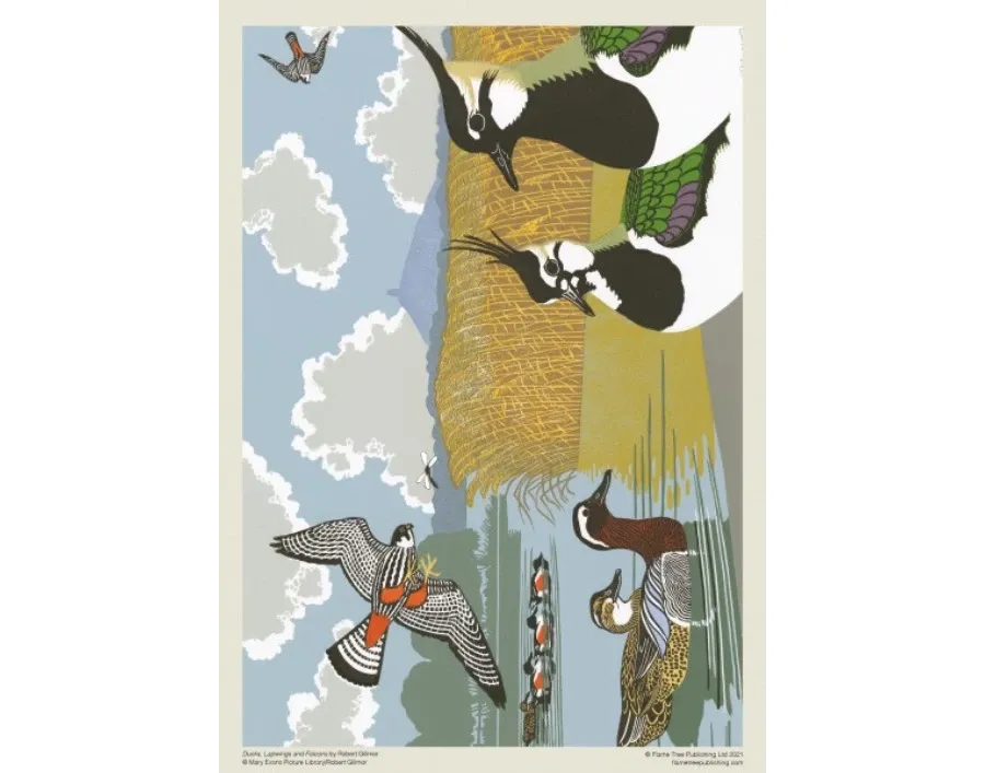 obrazek 3 Puzzle dla dorosłych Robert Gillmor: kaczki, sokoły i czajki - Flame Tree Publishing