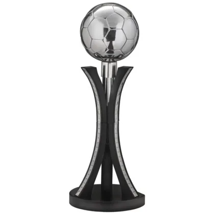 Zdjęcie Duży puchar piłkarski - Astra Argenti