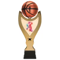 Picture A spectacular sports trophy for a basketball player