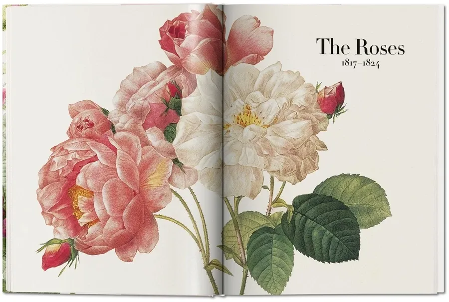 obrazek 4 Książka Redouté. The Book of Flowers - Taschen
