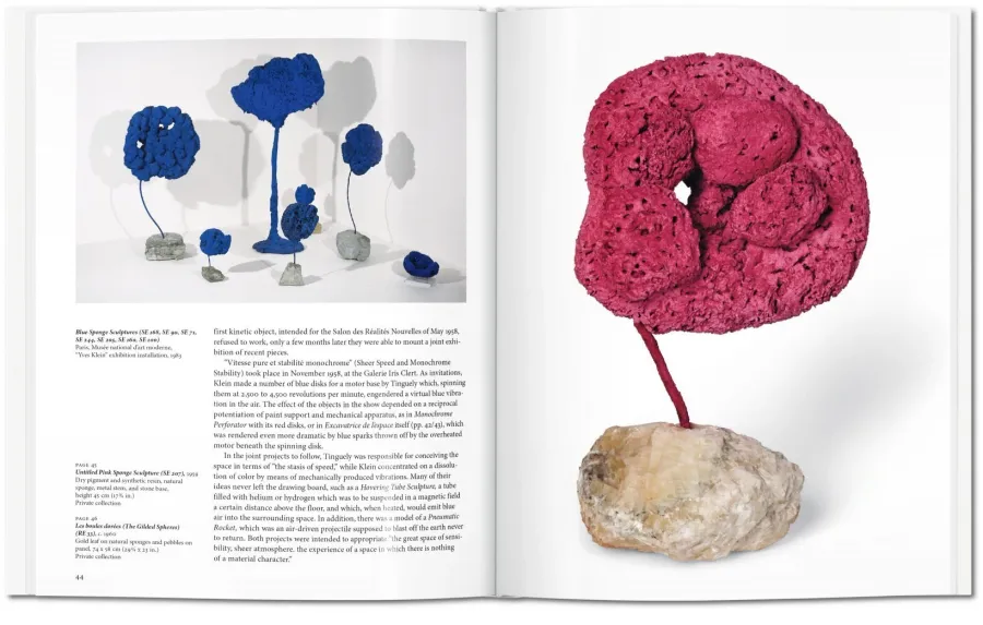 obrazek 5 Książka Yves Klein - Taschen