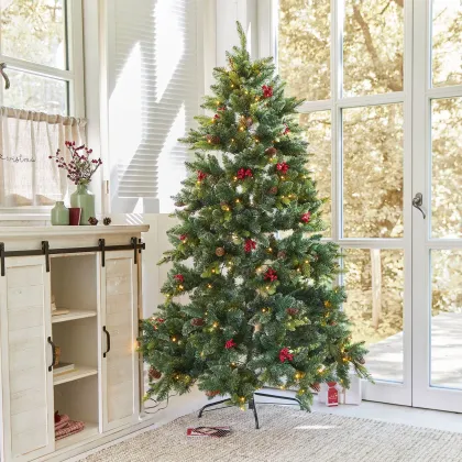 Zdjęcie Choinka Bindley