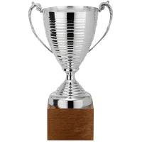 Picture An avant-garde silver cup on a wooden base