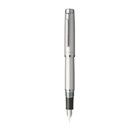 Picture Platinum Procyon Luster Satin Silver fountain pen