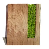 Picture Trunks made of oak wood and stabilized lichen