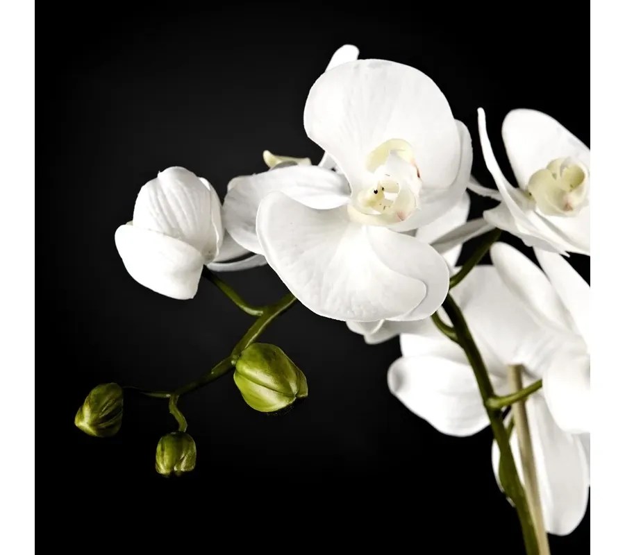 picture 3 Large glass pot with three flowers on the elegant tables