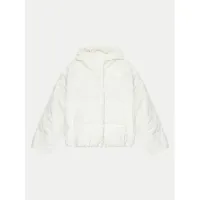 Zdjęcie The North Face Kurtka puchowa North NF0A88UD Beżowy Regular Fit