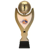 Zdjęcie Znakomity puchar dla najlepszego gracza w siatkówkę