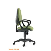 Picture Ergonomic chair for the president